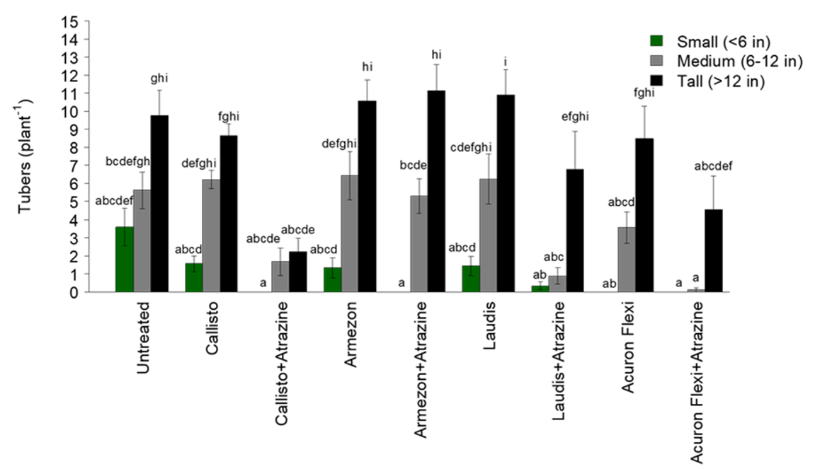 A bar graph.